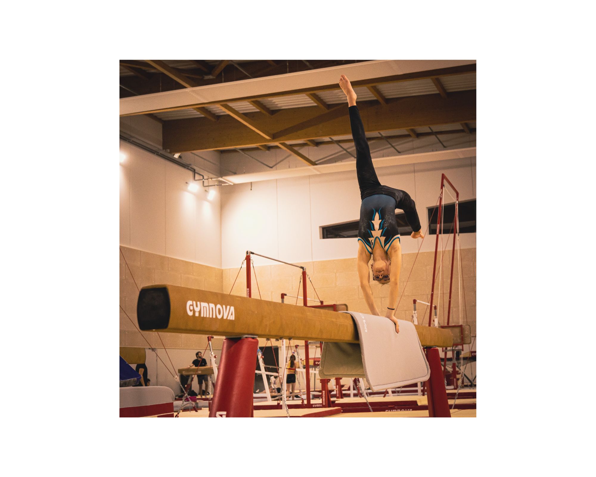 Gymnastique fille SOL Compétition par équipe FESTIGYM Mars 2010 VITROLLES  (13) 